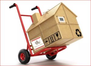 Moving cart with a cardboard box shaped in the form of a house with the PLN Logo