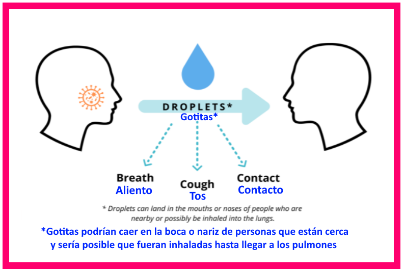 Transmission methods: breath, cough, and contact with droplets which can land in the mouths or noses of people who are nearby or possibly be inhaled into the lungs. Métodos de transmisión: aliento, tos, o contacto con gotitas que podrían caer en la boca o nariz de personas que están cerca y hay la posibilidad de que sean inhaladas hasta los pulmones.